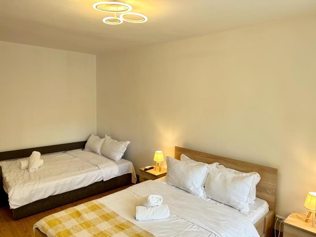 Jad - Family - Apartments - Zorilor Braşov Extérieur photo
