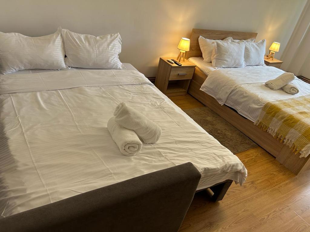 Jad - Family - Apartments - Zorilor Braşov Extérieur photo